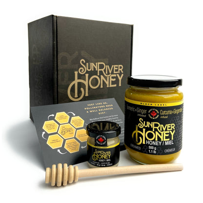 Turmeric + Ginger Creamed Honey Gift Set + Mystery Mini