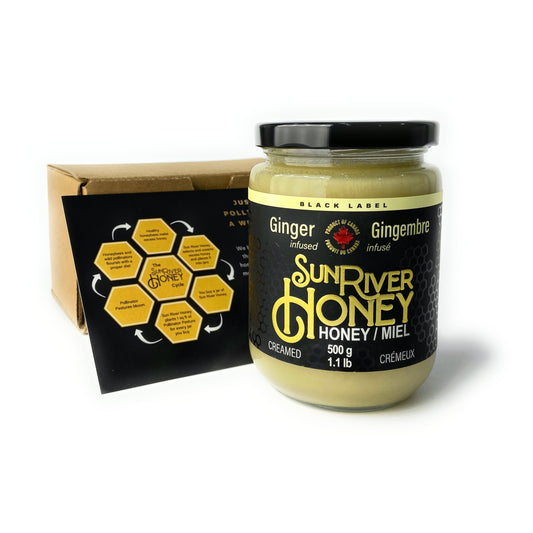 Ginger Creamed Honey 500g Single