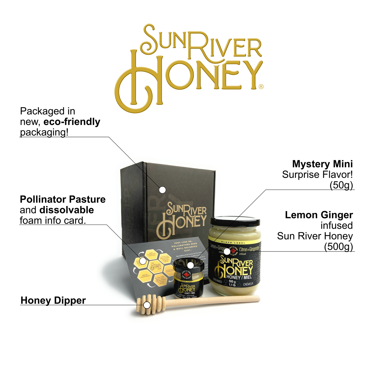 Lemon + Ginger Creamed Honey Gift Set + Mystery Mini