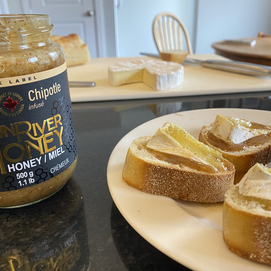 Brie cheese on a plate beside a jar of Chipotle infused Sun River Honey